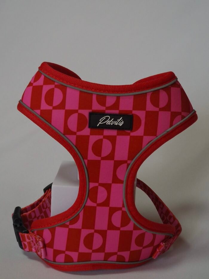 20250828_162222 2 20250828_162222 2