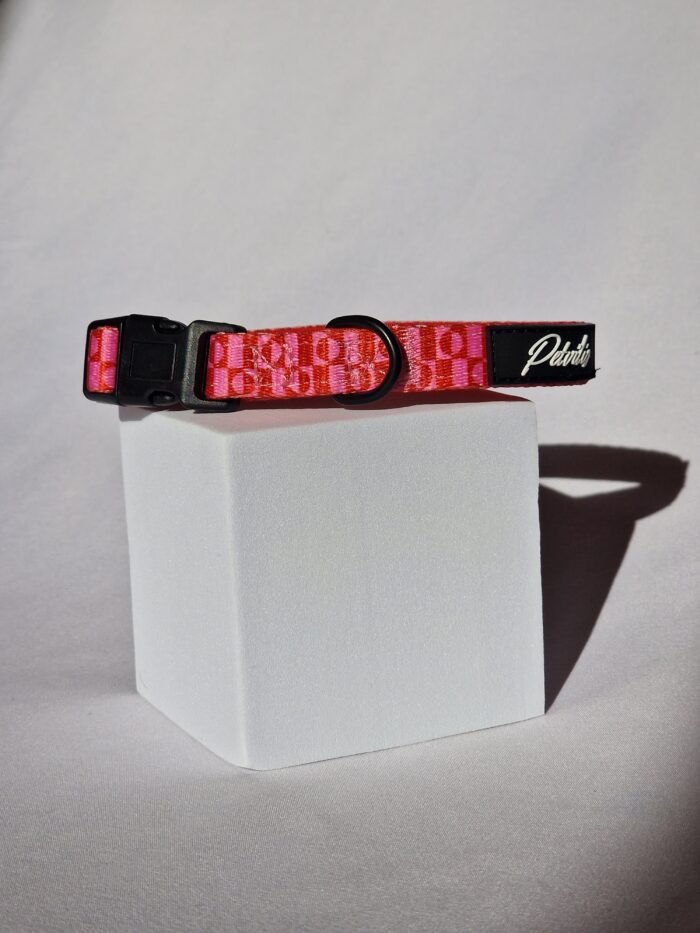 20250827_172544 20250827_172544