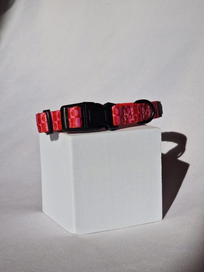 20250827_172549 20250827_172549