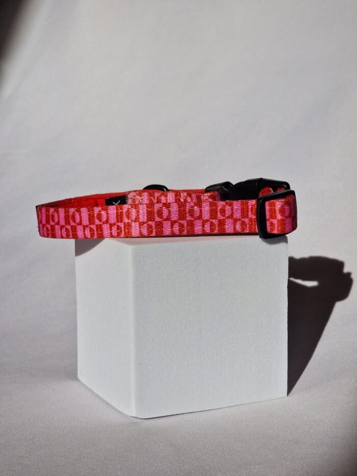 20250827_172553 20250827_172553