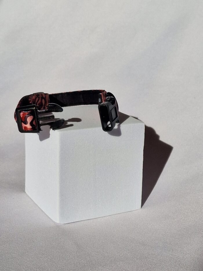 20250827_172803 20250827_172803