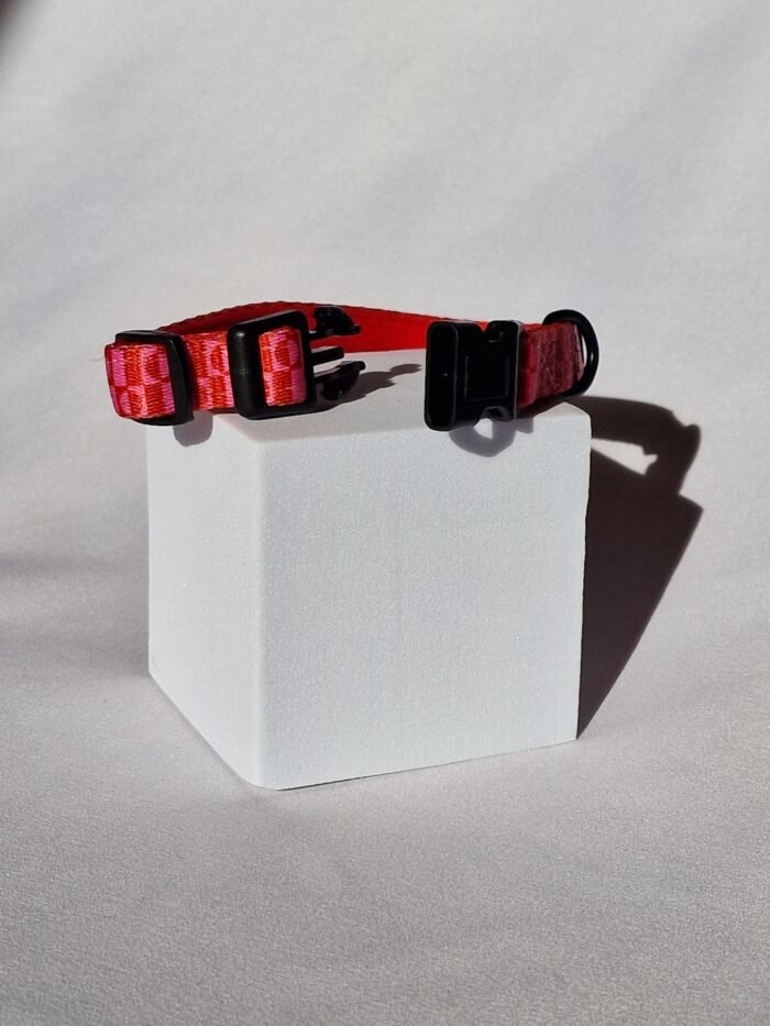 20250827_172830 20250827_172830