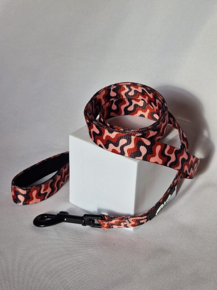 20250827_174821 20250827_174821