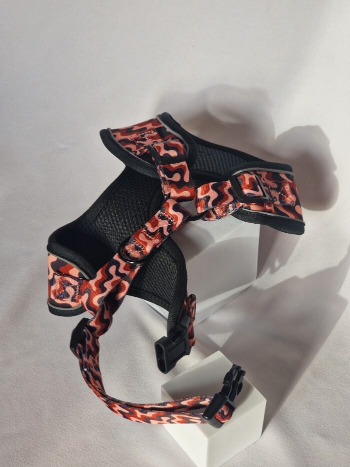 20250827_182315 20250827_182315