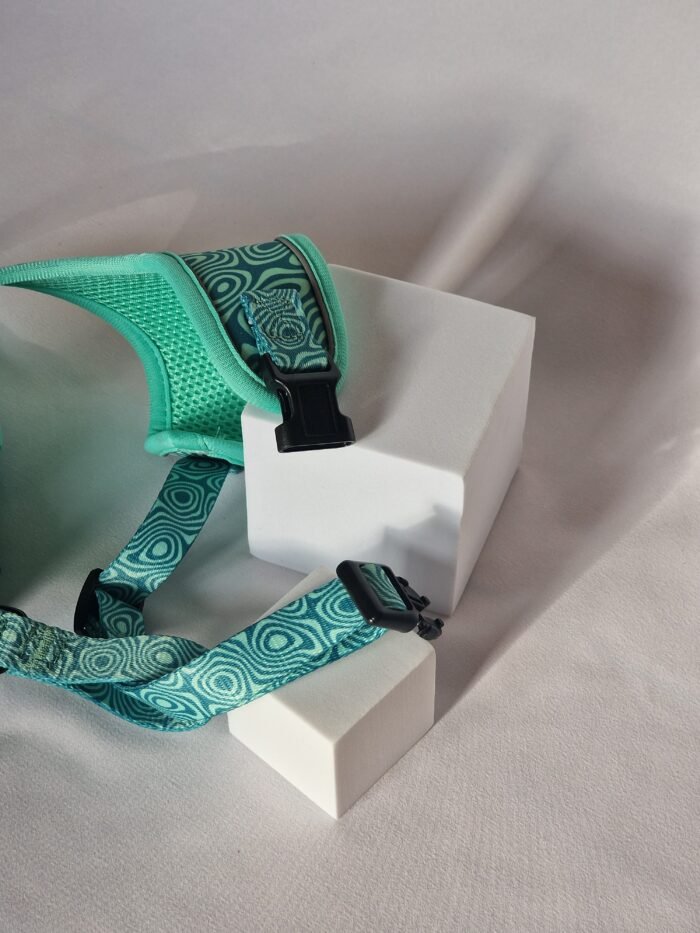 20250827_182813 20250827_182813