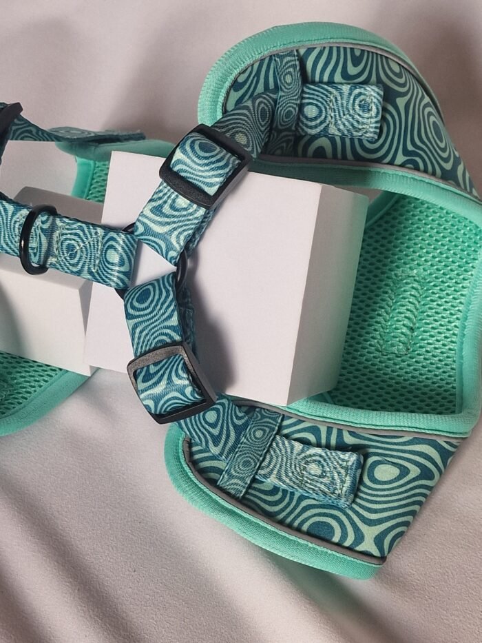 20250827_182923 20250827_182923