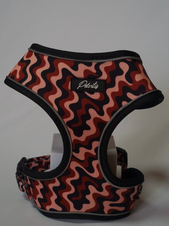 20250828_162148 2 20250828_162148 2