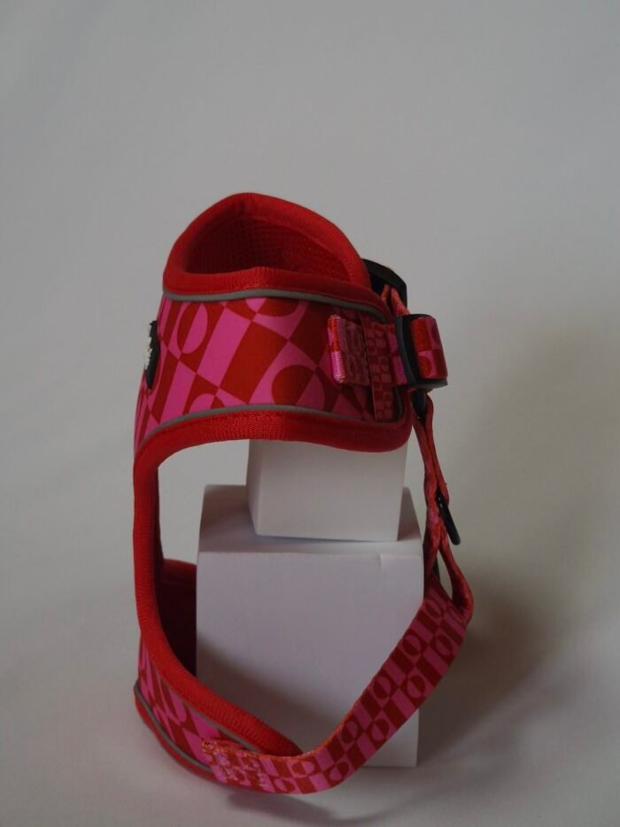 20250828_162325 20250828_162325