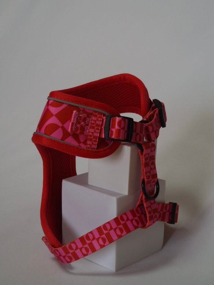 20250828_162337 20250828_162337