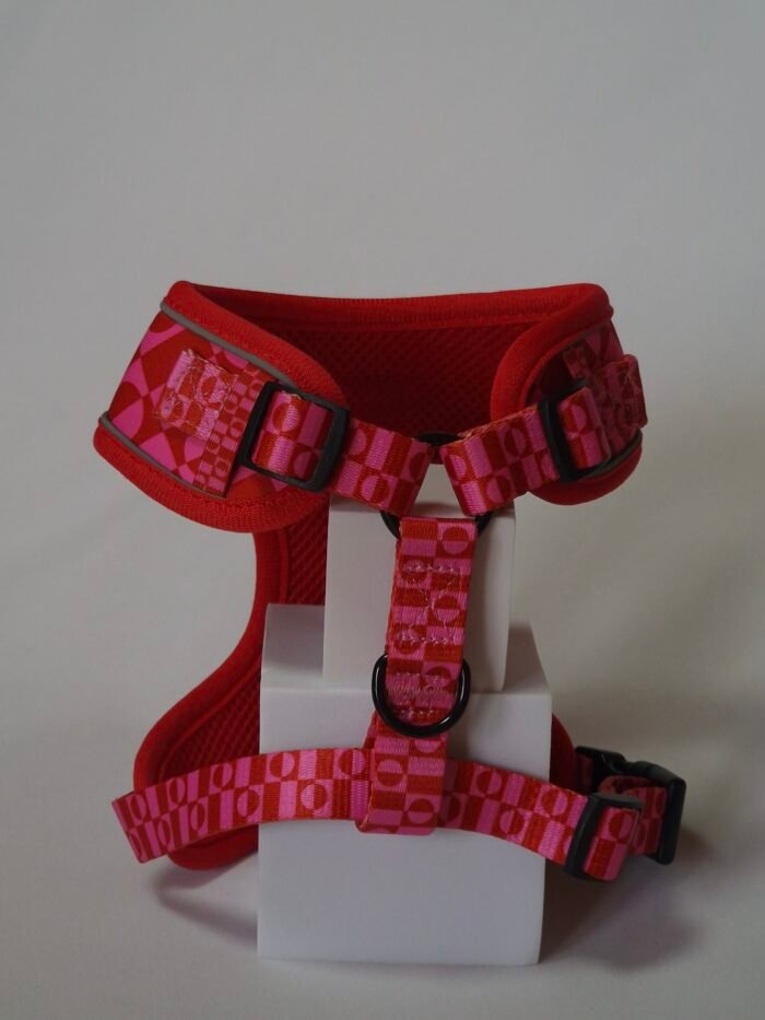 20250828_162349 20250828_162349