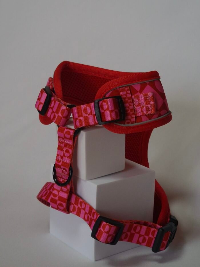 20250828_162357 20250828_162357