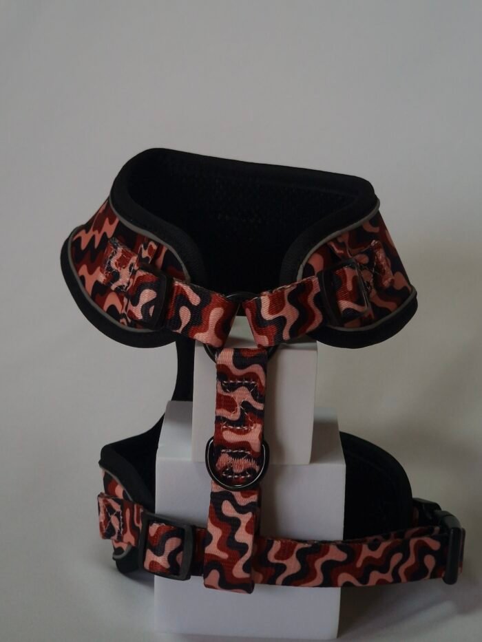 20250828_162440 20250828_162440