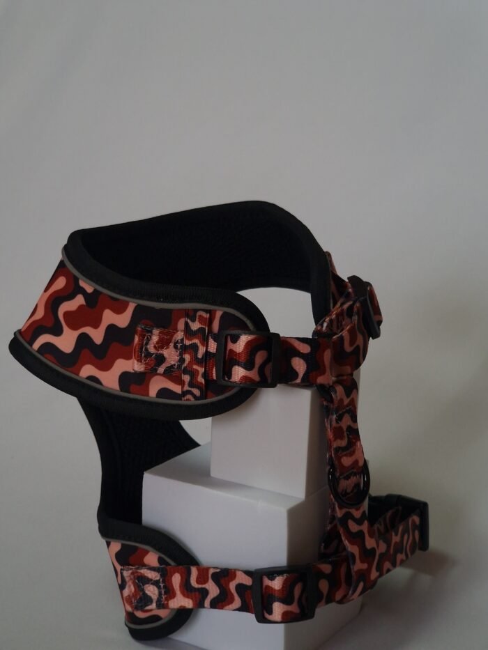 20250828_162447 2 20250828_162447 2