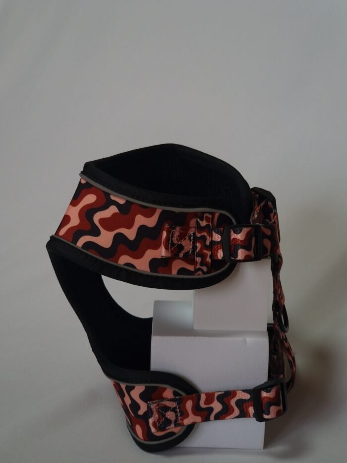 20250828_162459 2 20250828_162459 2