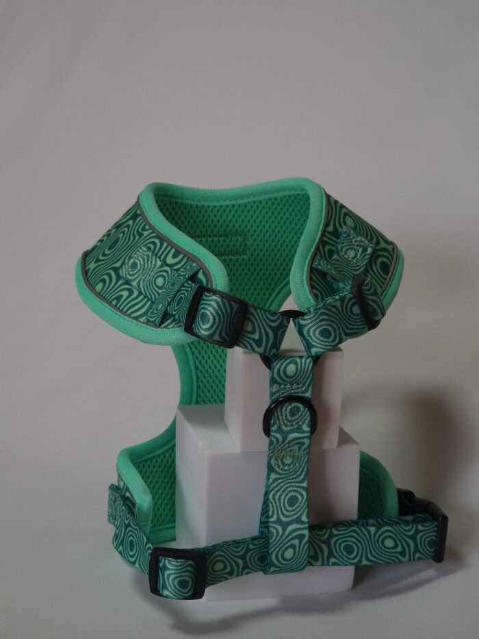 20250828_162607 20250828_162607