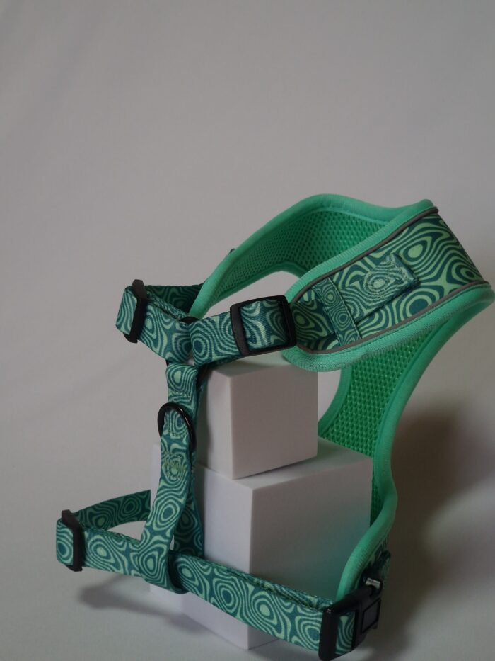 20250828_162620 20250828_162620