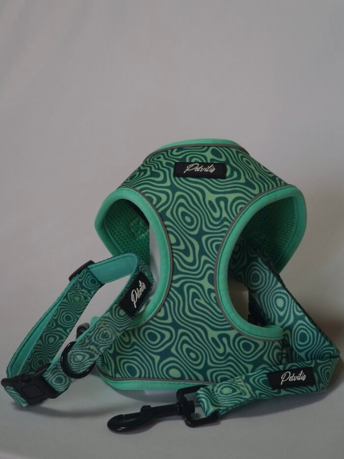 20250828_163044 20250828_163044