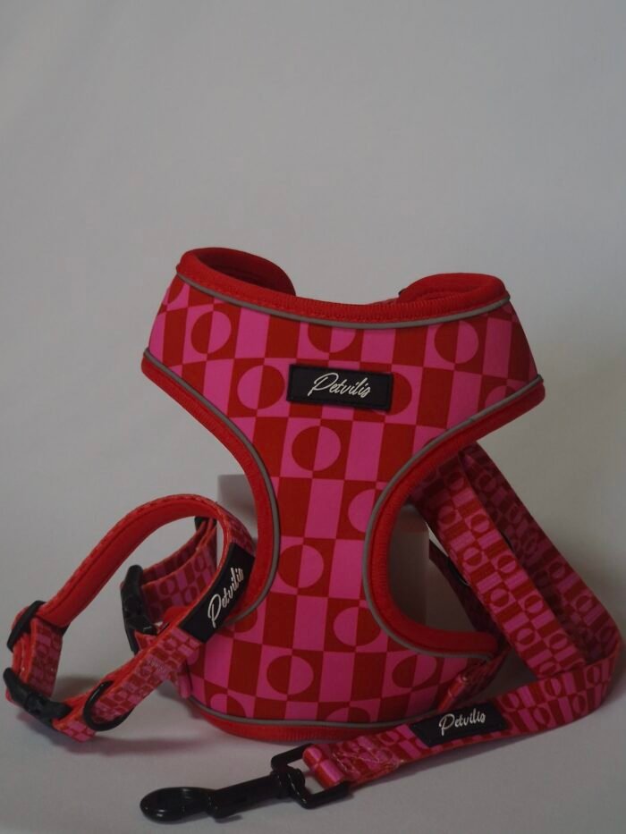 20250828_163443 20250828_163443