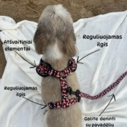 Reguliuojamas dydis