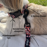 Reguliuojamas dydis 2