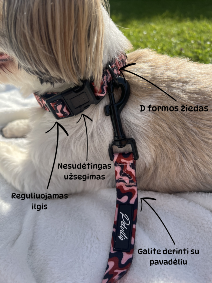 Reguliuojamas dydis 2 Reguliuojamas dydis 2