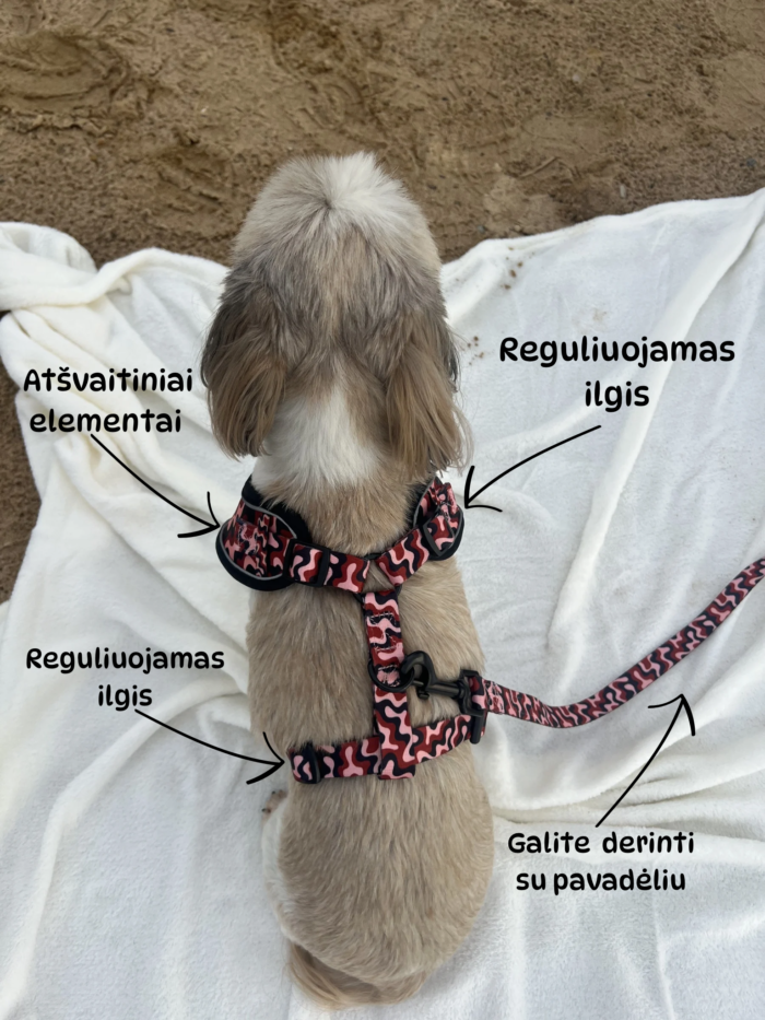 Reguliuojamas dydis Reguliuojamas dydis