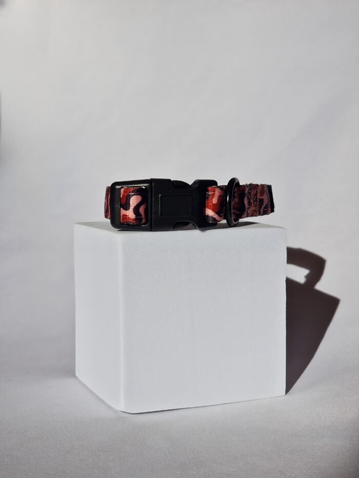 photo-output (1) photo-output (1)