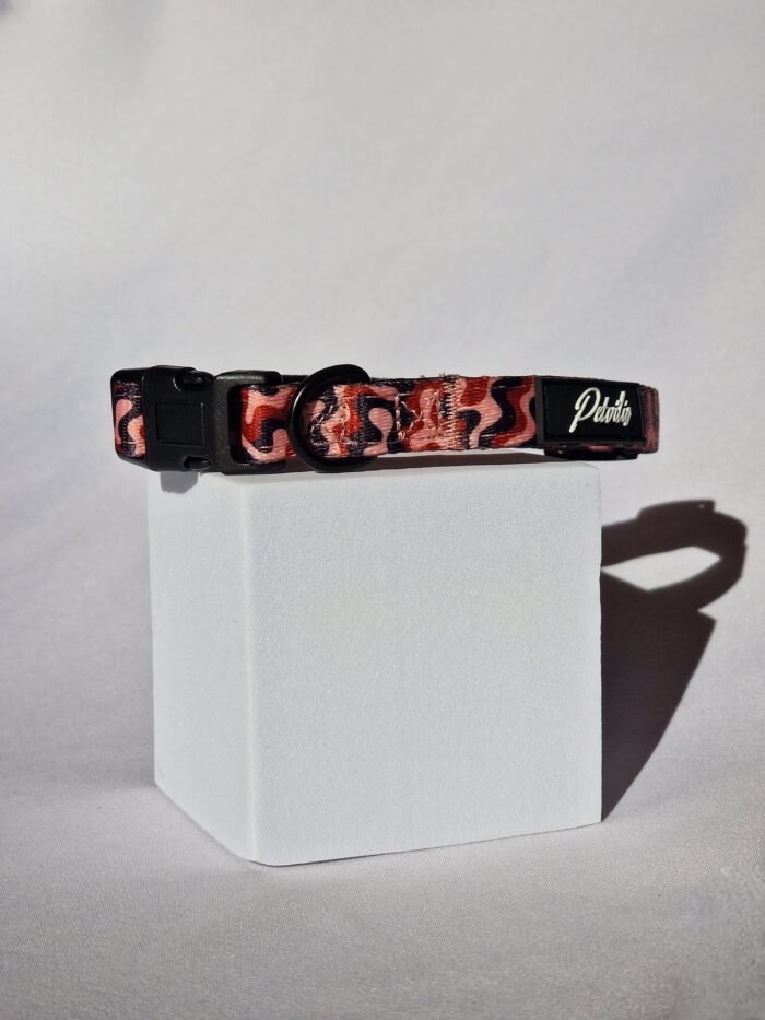 photo-output (5) photo-output (5)